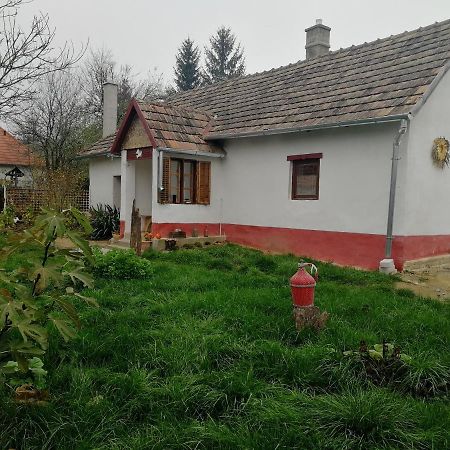 Traditionelles Bauernhaus Flieder Zalaszentgrót المظهر الخارجي الصورة