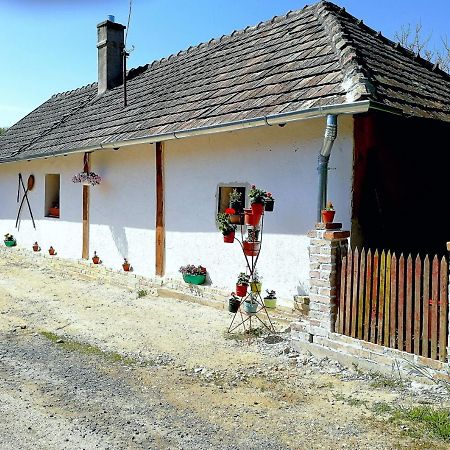Traditionelles Bauernhaus Flieder Zalaszentgrót المظهر الخارجي الصورة