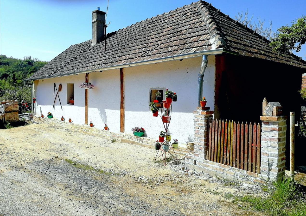 Traditionelles Bauernhaus Flieder Zalaszentgrót المظهر الخارجي الصورة